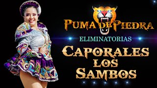 CAPORALES LOS SAMBOS  ELIMINATORIAS  CONCURSO NACIONAL 2024 [upl. by Pierce625]