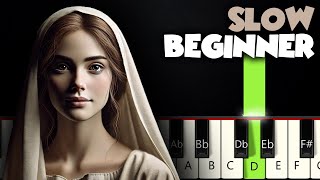 Mary Did You Know  SLOW BEGINNER PIANO TUTORIAL  SHEET MUSIC by Betacustic [upl. by Aika]