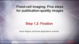 11 Culture conditions–Fixed cell imaging 5 steps for publicationquality images [upl. by Rus]