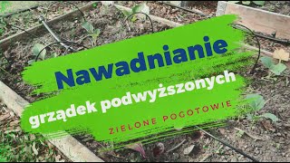 Jak nawadniam grządki podwyższone w warzywniku [upl. by Jen]