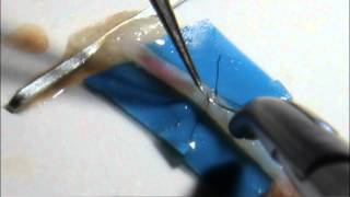 Микрососудистый анастомоз Microvascular anastomosis [upl. by Kramal]