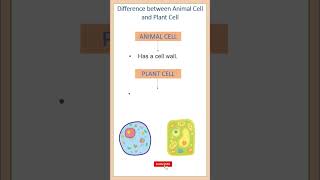 Difference between Animal Cell and Plant Cell  Biology  shorts ytshorts [upl. by Eiznyl506]