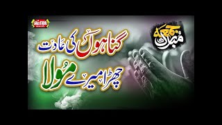 Very Emotional Gunahoo Kee Aadat chura Mara maula With lyrics Awais Raza Kadri Natt [upl. by Margret]