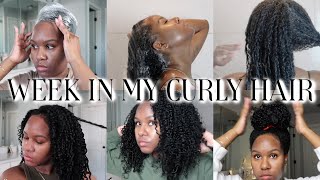 WEEK IN MY CURLY HAIR [upl. by Igiul]