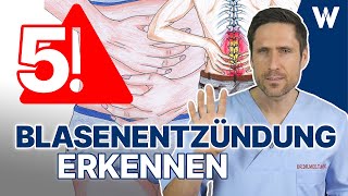 Plötzliche Blasenentzündung Diese Symptome solltest du kennen amp dann schnell handeln  5 Tipps [upl. by Obediah]