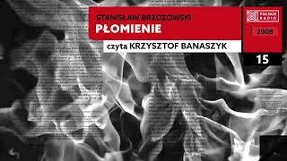 Płomienie czII 15  Stanisław Brzozowski  Audiobook po polsku [upl. by Calandria327]