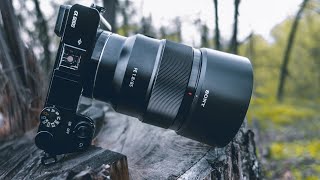 Sony a6000 nature photography 2022 [upl. by Clementia]