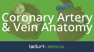 Coronary Artery amp Vein Anatomy  Cardiac Anatomy [upl. by Sofer]