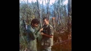 19701971 RVN B2501st Inf 101st ABN Div [upl. by Aciram701]