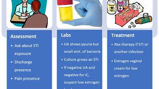 Urethritis [upl. by Dahraf234]