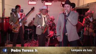 LAMPARA SIN LUZ quot PEDRO YERENA JR quotEN VIVO EN MONTERREY NL [upl. by Neelear]