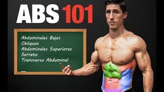 ABS 101 ¡Plan Paso por Paso Para un Six Pack TRABAJA TODAS LAS AREAS [upl. by Airetahs]