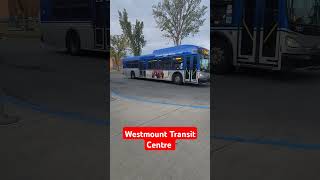 Westmount transit centre  Bis telolet  ets  yeg  EDMONTON PUBLIC TRANSPORTATION  tiktok  short [upl. by Mervin]