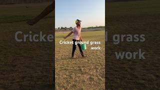 Cricket ground grass work how to make cricket ground work viralvideo grass cricket shorts short [upl. by Forester259]