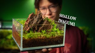 First time attempting a shallow Iwagumi scape [upl. by Giffie]