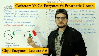 Enzymes Cofactors  Coenzyme vs prosthetic group  Apoenzyme Vs holoenzyme [upl. by Leumhs120]