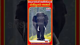 comment elephant name [upl. by Siurad]