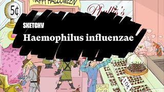 Haemophilus influenzae Infection Fundamentals Part 1  Sketchy Medical  USMLE Step 1 [upl. by Livingston237]