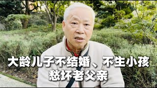 大龄儿子不结婚，老父亲拿“陈世美”劝导，鼓励儿子快“成家立业” [upl. by Nolrac]