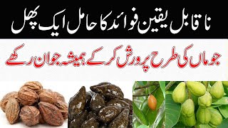 Hareer ke Fayde in Urdu  Hindi  Hareer ka Murabba ke Fayde  Terminalia Chebula Benefits [upl. by Yerdua]