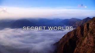 Wildest Islands of Indonesia  Series 1  Episode 4 of 5 Secret Worlds [upl. by Lebazej986]