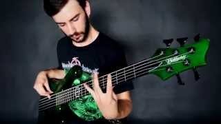 HIDEOUS DIVINITY  quotSinister and Dementedquot Bass Playthrough [upl. by Hulburt]