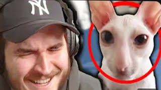 Ranking Jschlatts New REACTING to Viral Tiktoks [upl. by Bully]