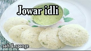 Instant Jowar Idli ज्वार इडली Quick Breakfast Recipe [upl. by Menedez]