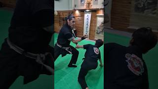 Base do Ninjutsu 🥷🔥 escoladeninjas ninjutsu ninja kotatsudojo bujinkan faixapreta [upl. by Huber412]