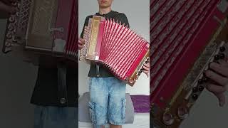 Coasa  Romanian folk song  Heligonka romanianmusic heligonka diatonicaccordion [upl. by Jefferey]