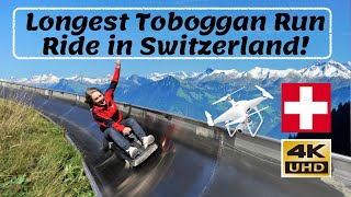 Longest Summer Toboggan Ride in Switzerland  4K Video [upl. by Adelia84]