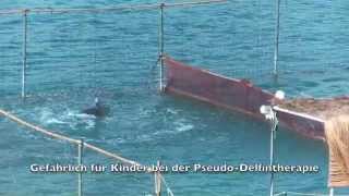 Delfintherapie Gefährliche Delfine Dangerous Dolphins in der Türkei [upl. by Alister]