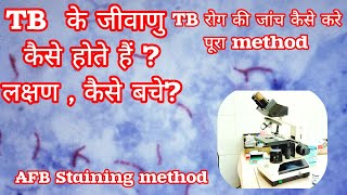 AFB staining method for TB How to stain procedure in हिंदी [upl. by Ahsiekram110]