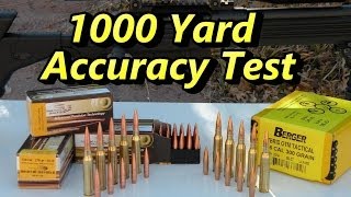 338 Lapua Magnum 4quot Group  1000 Yards [upl. by Gilletta]