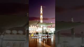 হায় কি পরিমাণ 🥹আল্লাহ আমাদের ভালোবাসে😭 । Allah always love you viralvideo love medina [upl. by Ahsed]