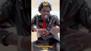 Portrait  Wally Seck L’Essor d’un Phénomène Musical  Partie 5 [upl. by Yboc]