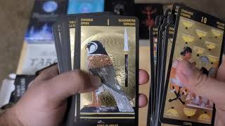 Tarot Nefertari Deck Unboxing amp First Impression [upl. by Salomo934]