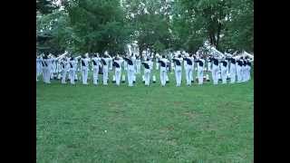 2009 Blue Stars Brass Allentown in the park [upl. by Ayotahs384]