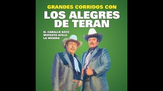 Los Alegres De Teran  Modesta Ayala [upl. by Irollam]