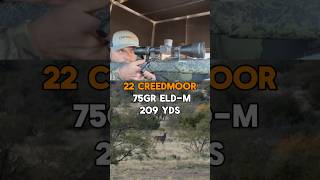 22 Creedmoor vs Buck hunting CarbonSixBarrel whitetaildeer RoamingShot [upl. by Nylrac]