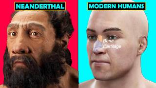 The HIDDEN Neanderthal Traits in Modern Humans [upl. by Strade985]