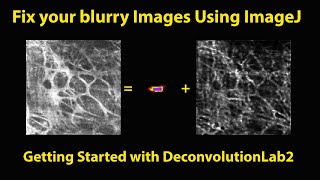 Fixing blurry images in FijiImageJ Deconvolution Lab2 plugin [upl. by Anik]