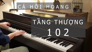 Tầng Thượng 102  Cá Hồi Hoang  Piano Rock ballad [upl. by Ahsemik767]