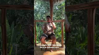 Icaros  ayahuasca ayahuascaretreat plantmedicine healing shaman icaros [upl. by Uolyram]