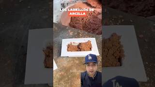 Cómo se fabrican los ladrillos de arcilla 🧱 ladrillos construccion fabricacion [upl. by Euqirdor428]