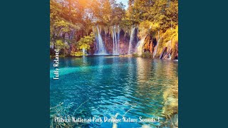 Plitvice National Park Daytime Nature Sounds Pt 14 [upl. by Asiil]