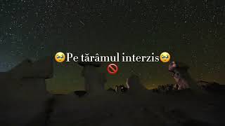 VersuriTărâmul Interzis 🚫Official Video [upl. by Alana]