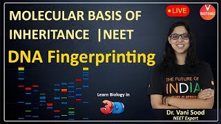 DNA Fingerprinting  Molecular Basis of Inheritance Class 12  NEET 2020  Vani Maam  VBiotonic [upl. by Coraline948]