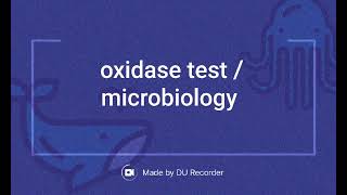 OXIDASE TEST MICROBIOLOGY [upl. by Ssalguod]