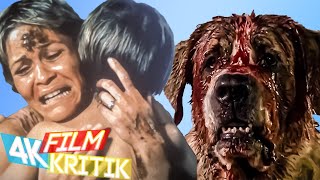 CUJO Stephen King und der gruselige DominoEffekt  Kritik [upl. by Zsazsa]